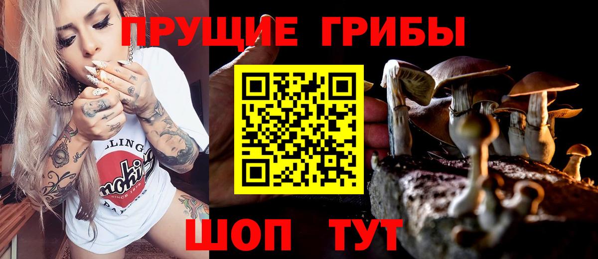 Новочебоксарск  Галлюциногенные грибы MAGIC MUSHROOMS  Вход с VPN  Псилоцибиновые грибы мухоморы 